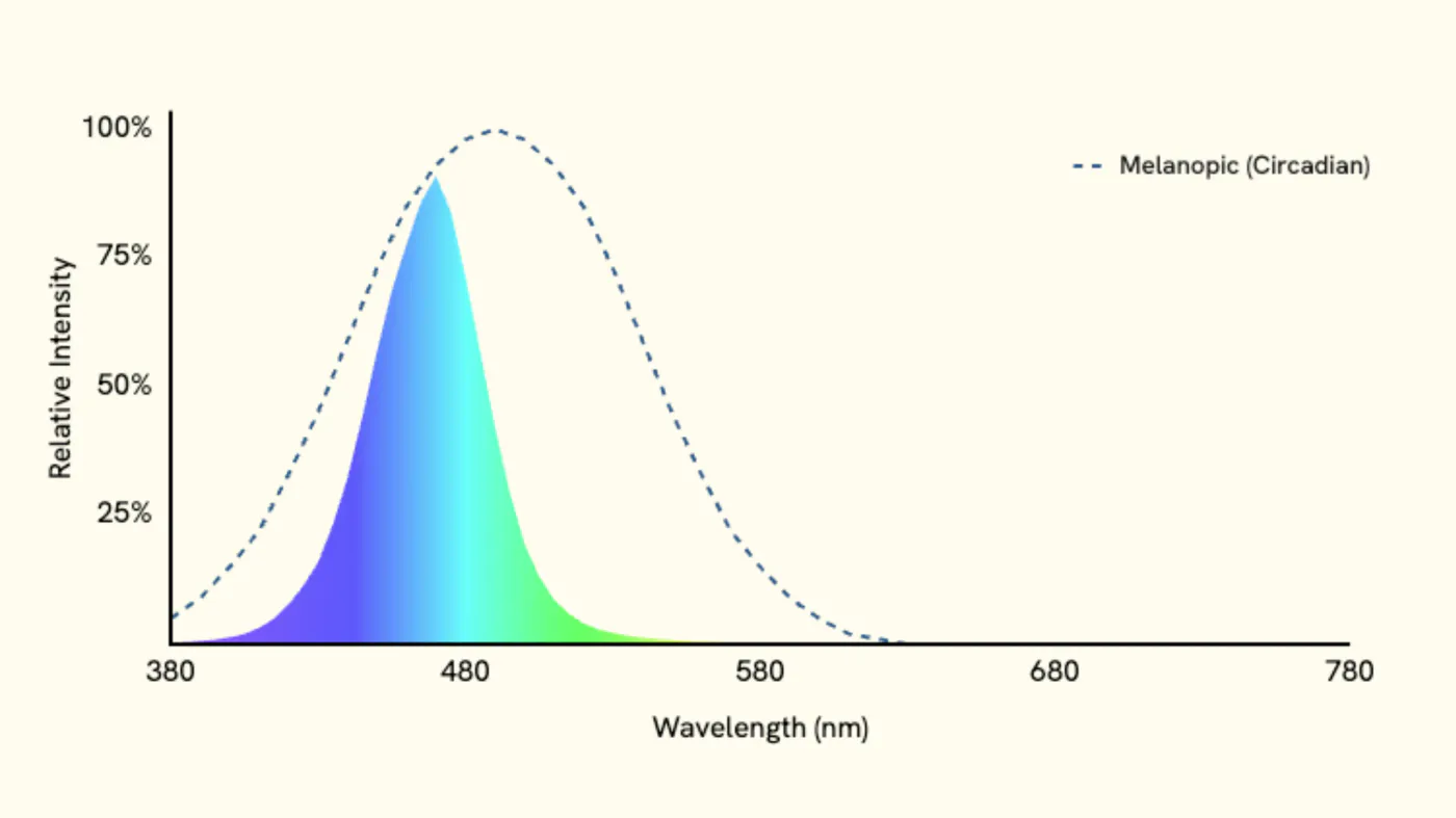 Blue LED spectrum overlaid with the dashed melanopic curve, showing the LED peak lands in the middle of the melanopic range