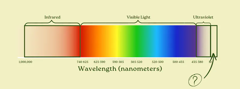 Spectrum showing infrared, visible light, and ultraviolet, with a question-mark box past the shortest ultraviolet wavelengths